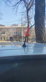IMG_1133.jpeg