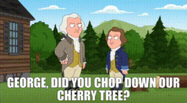 1741313642901.gif