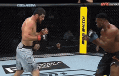 1741373305273.gif