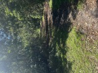 IMG_3087.jpeg