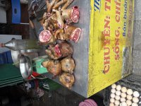 IMG_1812.jpeg