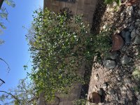 IMG_1165.jpeg