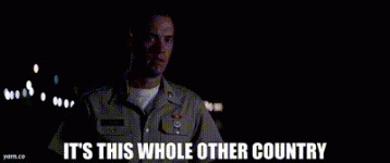 1741627345192.gif