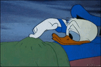 1741956798606.gif