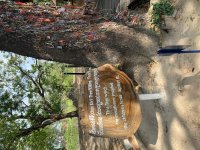 IMG_8371.jpeg