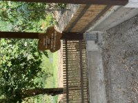 IMG_8364.jpeg
