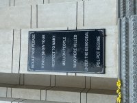 IMG_8384.jpeg
