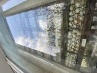IMG_8381.jpeg