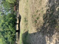 IMG_8357.jpeg