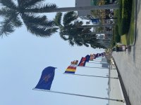 IMG_8539.jpeg