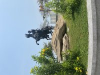IMG_8541.jpeg