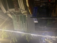 IMG_8587.jpeg