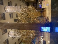 IMG_8595.jpeg