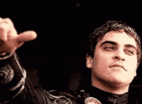 IMG_1306.gif