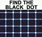 IMG_3120.jpeg