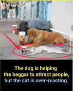 1742655351425.png