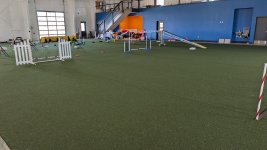 PXL_20250322_212054630.jpg