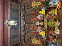 IMG_2230.jpeg