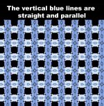 IMG_3127.jpeg