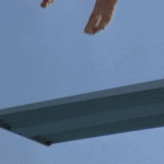 1742834348904.gif