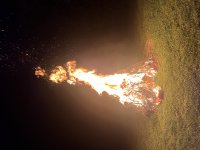 IMG_7643.jpeg