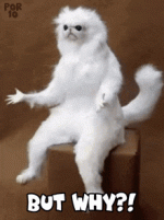IMG_2401.gif