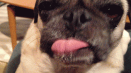 1743011829835.gif