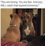 1743015532329.png