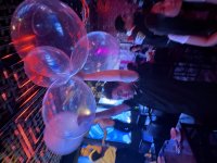 IMG_2585.jpeg