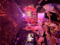 IMG_2584.jpeg
