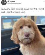 1743192279530.png