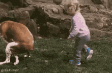 IMG_1416.gif