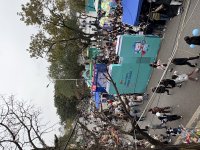 IMG_2703.jpeg