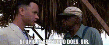 IMG_1438.gif