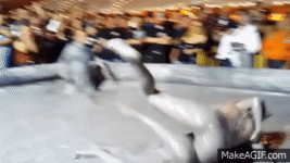 1743357511806.gif