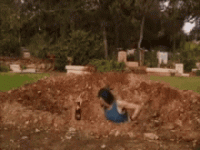 IMG_1446.gif