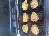 IMG_3156.jpeg