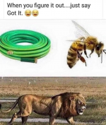 1743549776436.png