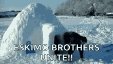 1743629655182.gif