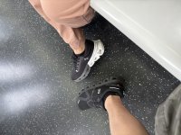 IMG_2955.jpeg