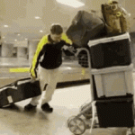 1743773967815.gif