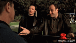 1743794027458.gif