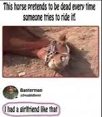 1743865036049.png