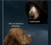 1744035695871.png