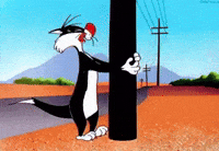 1744043351913.gif