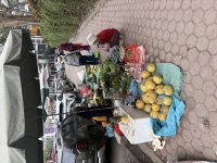 IMG_3225.jpeg