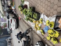 IMG_3224.jpeg