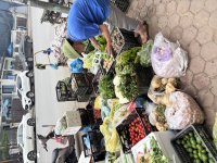 IMG_3223.jpeg