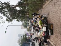 IMG_3221.jpeg