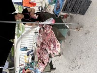 IMG_3219.jpeg